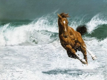 caballo corriendo en la playa Pinturas al óleo
